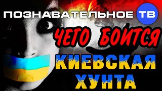 Чего боится киевская хунта? (Познавательное ТВ, Владимир Рогов)