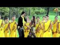 Poola Rangadu Movie  | Nuvvu Naaku Kavali Song Trailer | Sunil | Isha Chawla