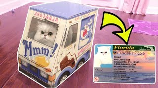 CLOUD GOT HIS DRIVERS LICENSE!!! CLOUD GOT HIS DRIVERS LICENSE!!!