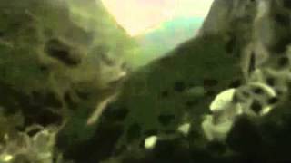 Watch Lazyboy Desiderata video