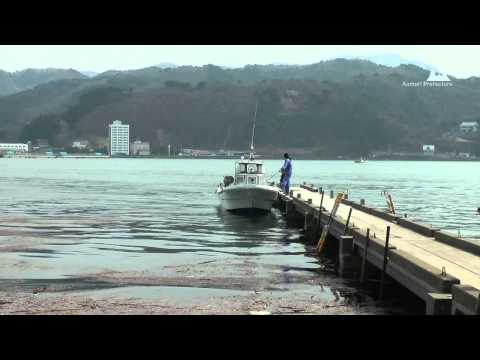 浅虫温泉・湯ノ島カタクリ - 渡し船・湯ノ島桟橋近景 - 0208A