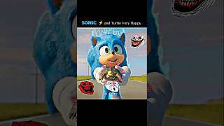 Sonic And Turtle Very Happy