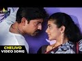 Pellaina Kothalo Songs | Chelivo Na Video Song | Jagapathi Babu, Priyamani | Sri Balaji Video