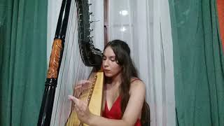 Festival Internacional Cerrillos De Diaz, Veracruz, México Parte 1