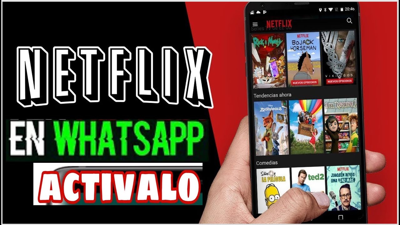 Ya es posible ver videos de Netflix en WhatsApp