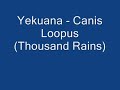 Yekuana - Canis Loopus (Thousand Rains)