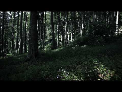 Luka Nizetic Ft. Klapa Kampanel - Zivot Curi (Teaser)