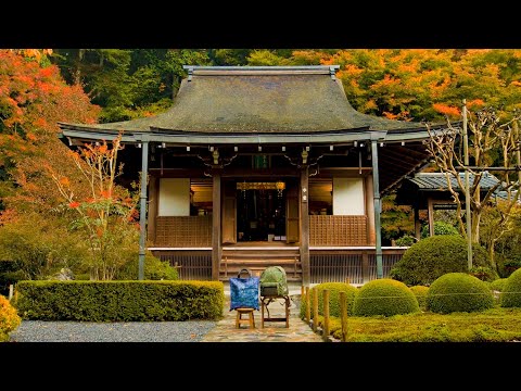 京都 寂光院 紅葉の絶景(4K)カエデ・エリシア京都 caede|L’ELISIR KYOTO-PV10 [KYOTO jyakkouin Autumn leaves 4K movie]