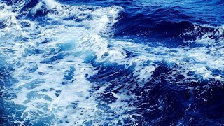 Recette pour bien passer l’hiver : boisson naturelle à base d’eau de mer, vitamine C …