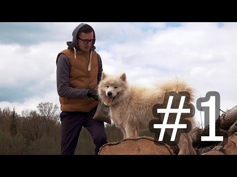 Vlog 1 Vlog 1