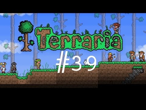 iballisticsquid terraria 2 iballisticsquid terraria 2