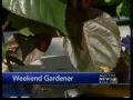 The Weekend Gardener