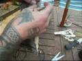 squirrel skin arm brace for bow shooting Video