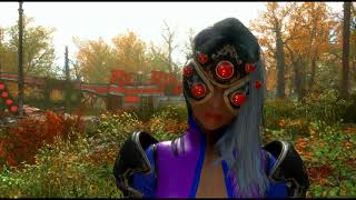 Fo4 Widowmakers Armor