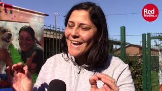 Esterilización de Perros y Gatos en la Comuna de Freire.