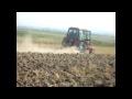 Mtz82