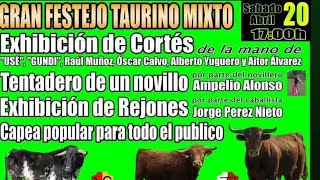 Exhibición De Cortes Ante Un Toro Bravo De Sánchez Herrero Y Arriazu Olmedo 20/4/2023
