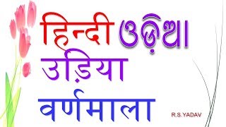 Learn Hindi Odia Alphabet हिन्दी उड़िया वर्णमाला सीखें