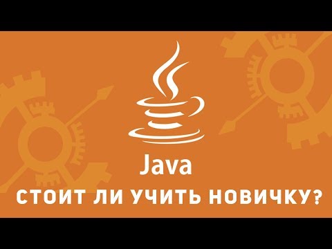 Стоит ли учить Java новичку. Стажировка Java Стоит ли учить Java новичку. Стажировка Java