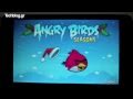 Foto pequena ZTE V9 Angry Birds seasons