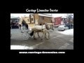 Horse and Carriage - Carriage Rides - Limousine Carriage 13 - Carriage Limousine Service