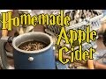 Apple Cider DIY for Your Halloween Party or Harry Potter Lifestyle - Holly Hobby