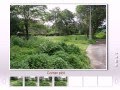 Land for sale 560 m2 in Mongkol Resort Hua Hin Thailand