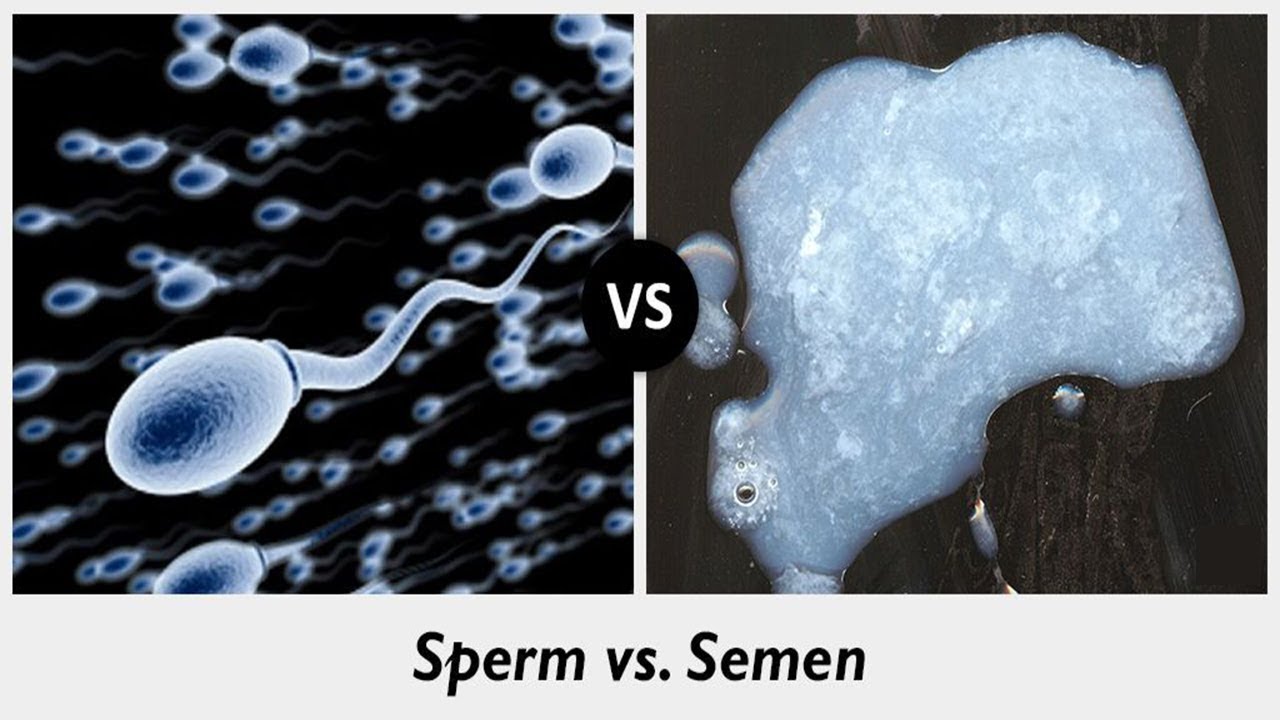 How germy is sperm