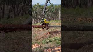 Another Day At The Office: John Deere 1270G Harvester #Johndeere #Harvester #Viral #Tree #Wood #Love