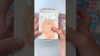 Labubu Mystery Box