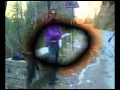 pashto song by ghazala javed pashto song by ghazala javed