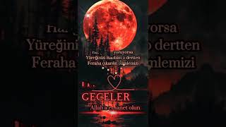 Iyi Geceler