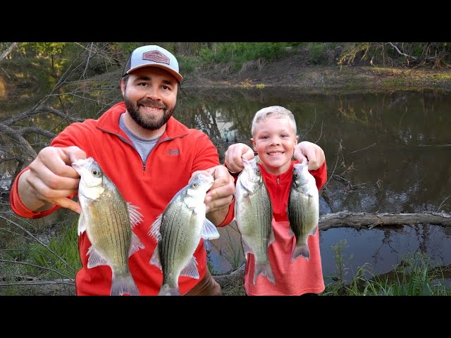Watch White bass Fish Tacos! Catch, Clean, and Cook! on YouTube.