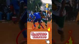 eHawG8S9B_g Video Image
