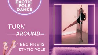 Exotic Pole Dance | Turn Around