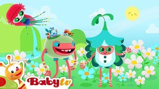 Lale Ki Lolu Babytv Türkçe