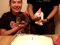Nacho's First Bunny Birthday Party