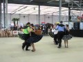 Square Dance demonstration at Country Rock Bike Festival, Tours France 2012