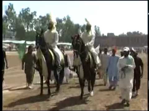 sultania awan club ( horses Nageena & mastana) 45