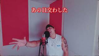Days - Flow Cover By Kasa Eureka Seven 交響詩篇エウレカセブン Opening