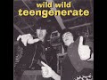 Teengenerate - this is rock'n'roll