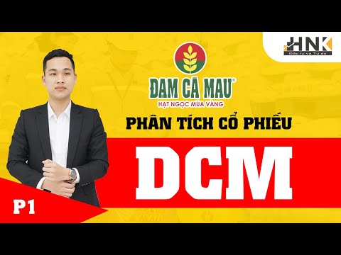 ĐỊNH GIÁ CỔ PHIẾU DCM 2020 | PHÂN TÍCH CỔ PHIẾU DCM | Đầu Tư HNK