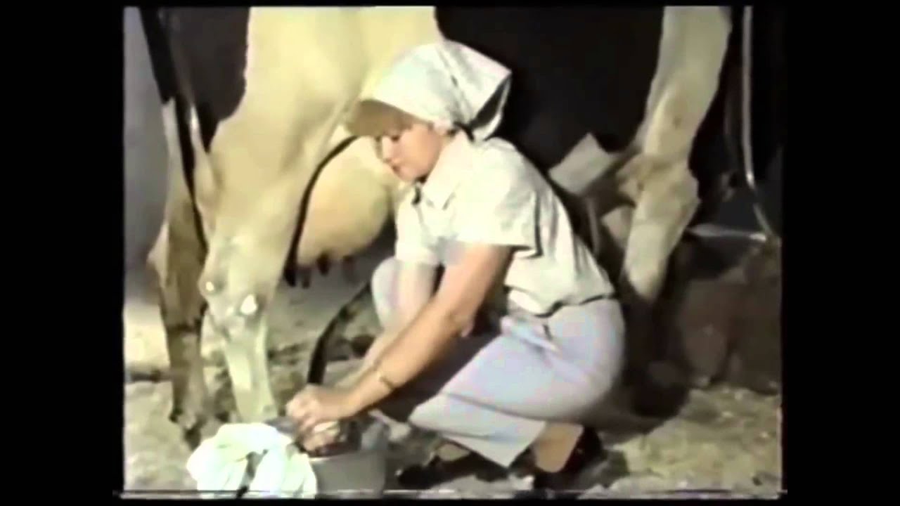 Порно Пожилых Русских Женщин Доят Как Коров