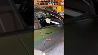 How Does Dog Mode Work In A Tesla??