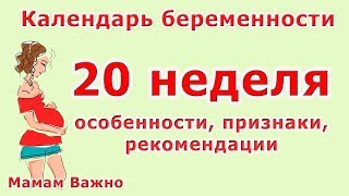 20 неделя беременности: фотография УЗИ и живота 20 неделя беременности: фотография УЗИ и живота