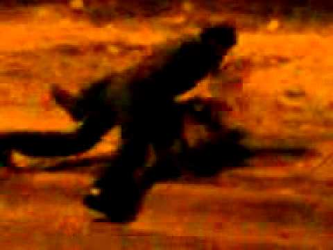 Kamasutra hda la virgen.3GP