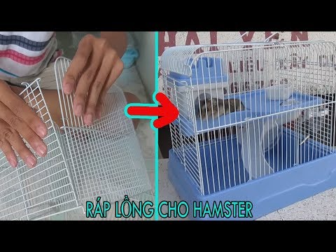 CÁCH RÁP LỒNG CHO HAMSTER CỰC ĐƠN GIẢN