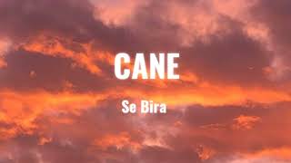 Se Bira - Cane Lyrics Music