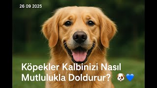 Köpeklerle Kalbini Doldur, Hayatına Sevinç Kat