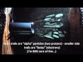 Americium History | RM. Americium History | RM.